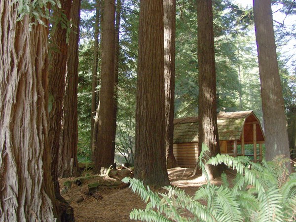 Crescent City / Redwoods KOA Holiday
