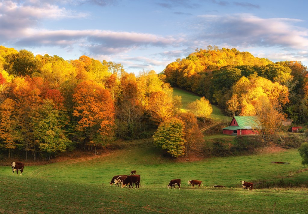Back country road near Boone, North Carolina in fall.