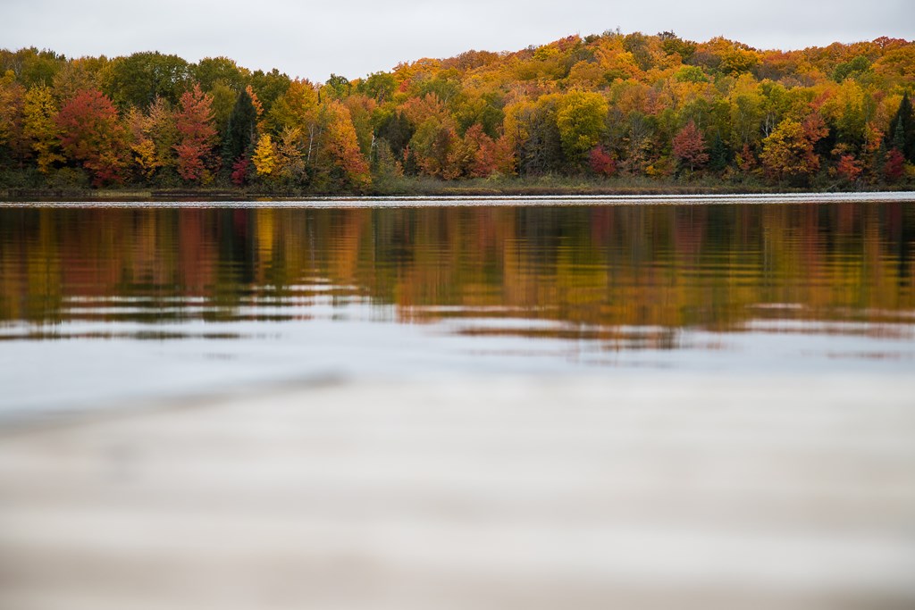 Fall colors from Northwestern Wisconsin.