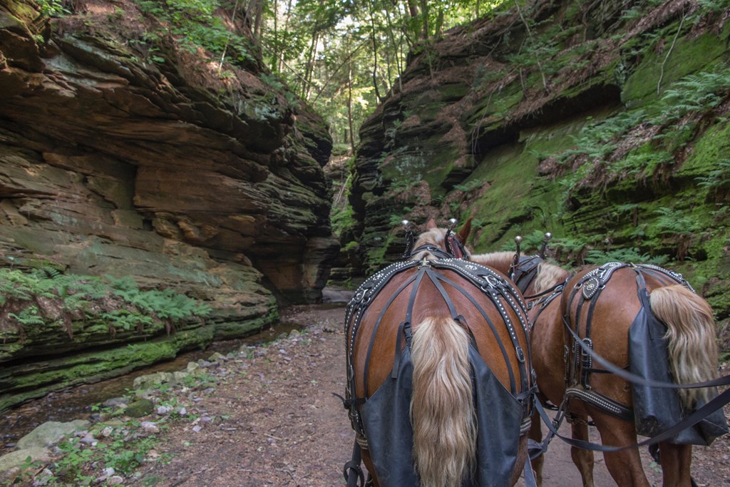 The Lost Canyon is a Hidden Gem of the Wisconsin Dells with Horse Rides through a Scenic Gorge