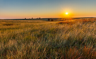 Midwestern open field