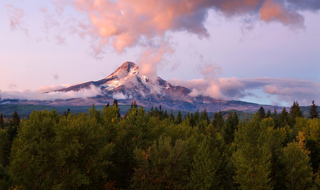 Mt Hood is the highest mountain in Oregon state.